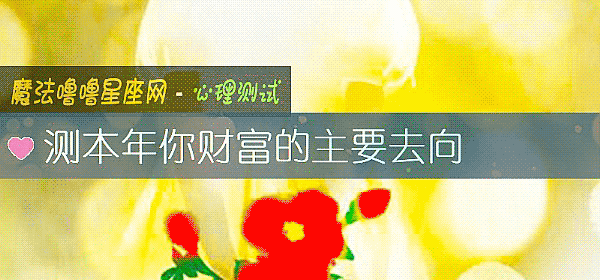测本年你财富的主要去向