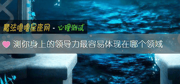 测你身上的领导力最容易体现在哪个领域