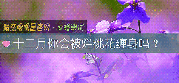 十二月你会被烂桃花缠身吗？