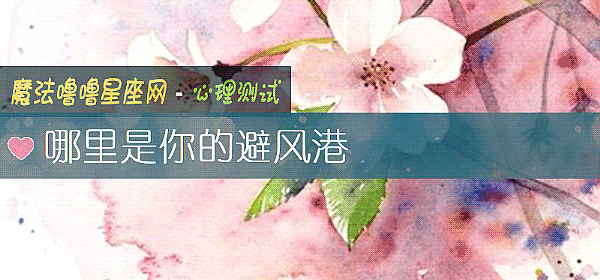 哪里是你的避风港