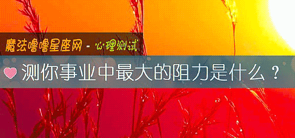 测你事业中最大的阻力是什么？