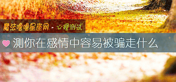 测你在感情中容易被骗走什么