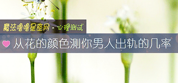 从花的颜色测你男人出轨的几率