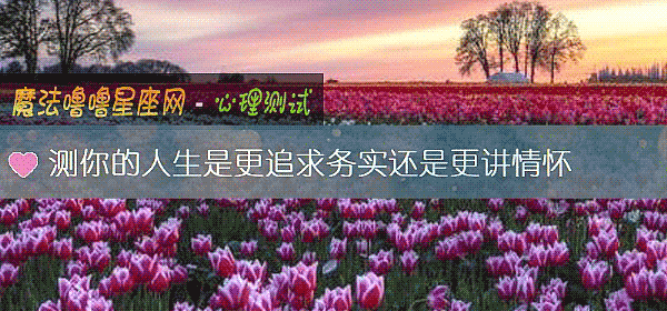 测你的人生是更追求务实还是更讲情怀