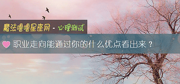 职业走向能通过你的什么优点看出来？