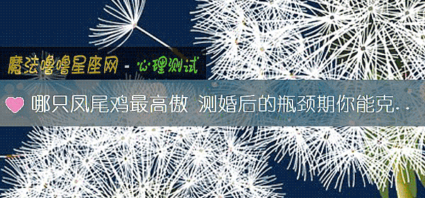 哪只凤尾鸡最高傲 测婚后的瓶颈期你能克服吗？