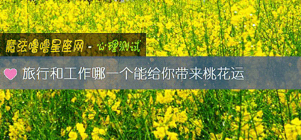 旅行和工作哪一个能给你带来桃花运