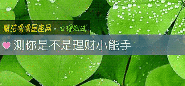 测你是不是理财小能手