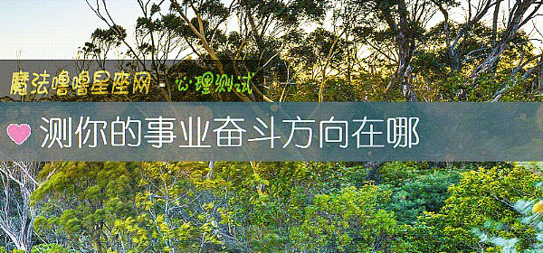 测你的事业奋斗方向在哪