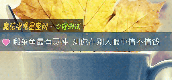 哪条鱼最有灵性 测你在别人眼中值不值钱