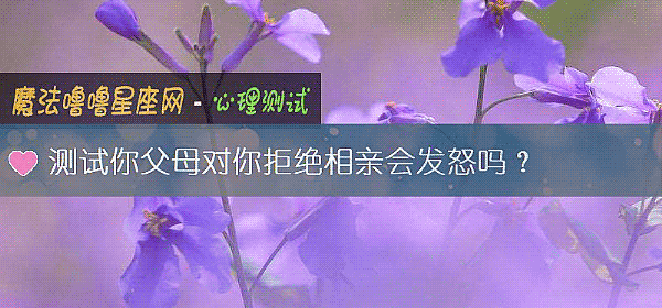 测试你父母对你拒绝相亲会发怒吗？