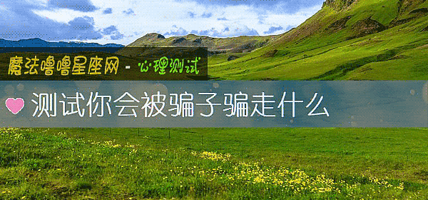 测试你会被骗子骗走什么