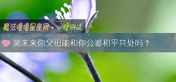 测未来你父母能和你公婆和平共处吗？