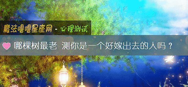 哪棵树最老 测你是一个好嫁出去的人吗？