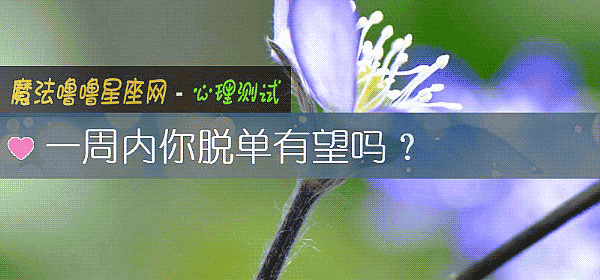 一周内你脱单有望吗？
