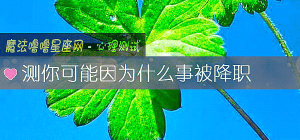测你可能因为什么事被降职