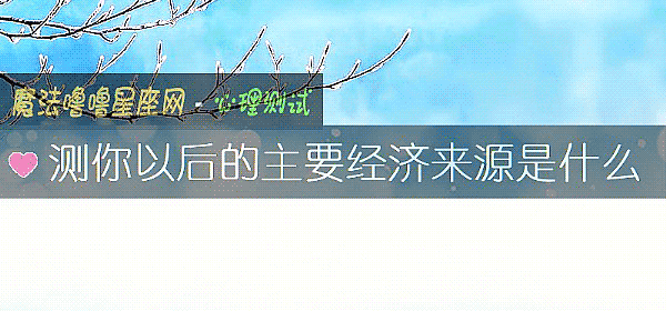 测你以后的主要经济来源是什么