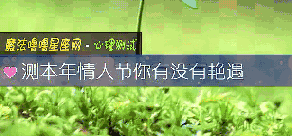 测本年情人节你有没有艳遇