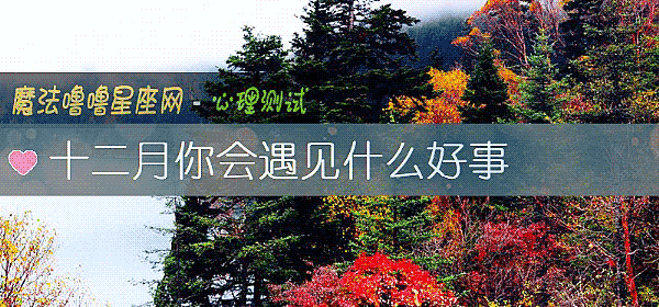 十二月你会遇见什么好事