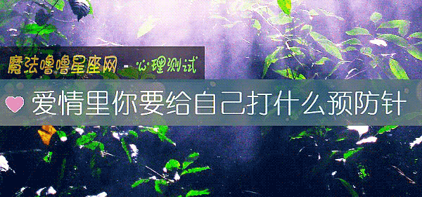 爱情里你要给自己打什么预防针