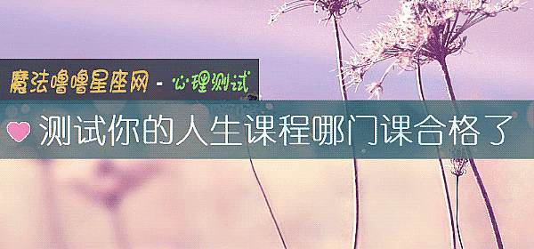 测试你的人生课程哪门课合格了