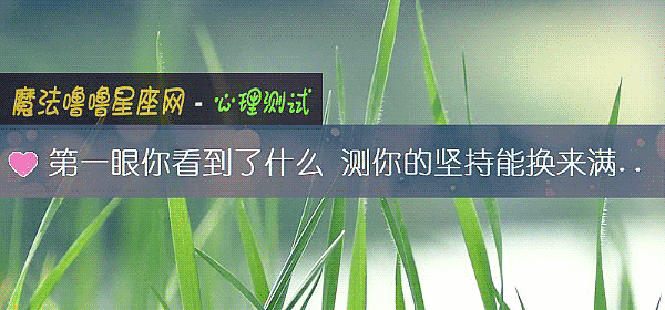 第一眼你看到了什么 测你的坚持能换来满意的结果吗？