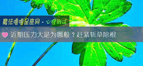 近期压力大是为哪般？赶紧斩草除根