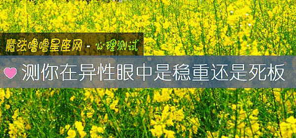 测你在异性眼中是稳重还是死板