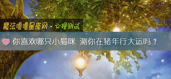 你喜欢哪只小猫咪 测你在猪年行大运吗？