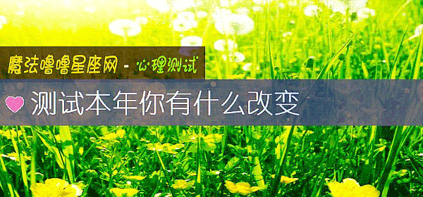 测试本年你有什么改变