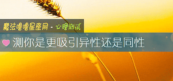 测你是更吸引异性还是同性