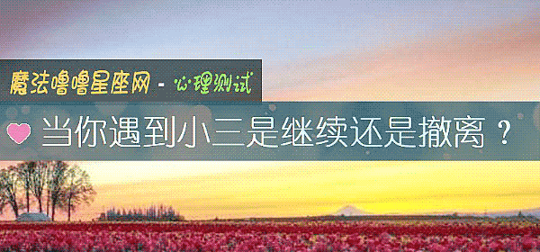 当你遇到小三是继续还是撤离？