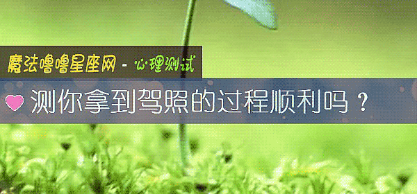 测你拿到驾照的过程顺利吗？