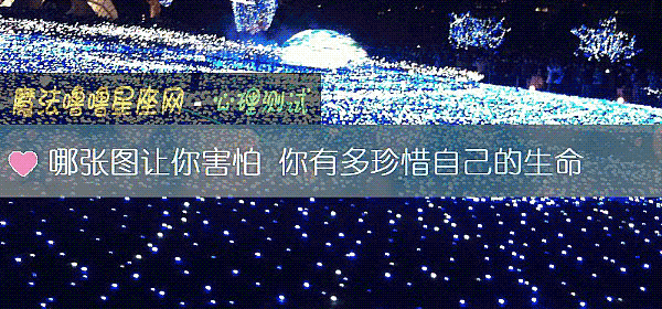 哪张图让你害怕 你有多珍惜自己的生命