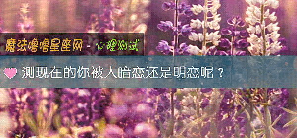 测现在的你被人暗恋还是明恋呢？