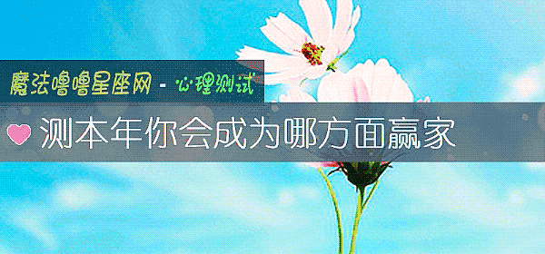 测本年你会成为哪方面赢家