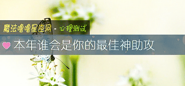 本年谁会是你的最佳神助攻