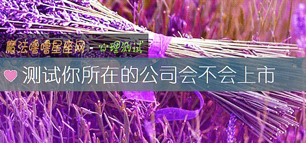 测试你所在的公司会不会上市