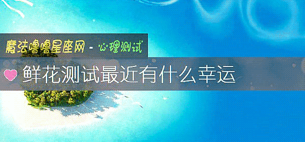 鲜花测试最近有什么幸运