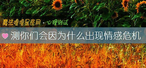 测你们会因为什么出现情感危机