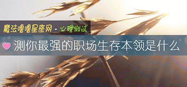 测你最强的职场生存本领是什么