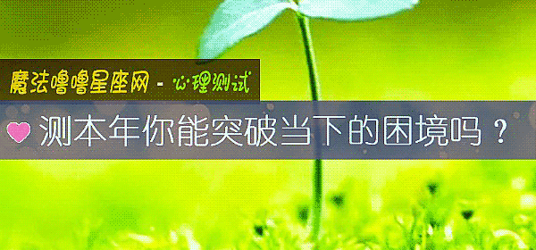 测本年你能突破当下的困境吗？