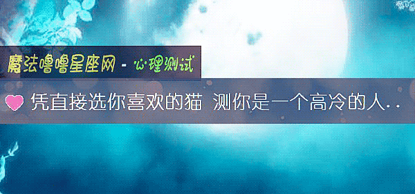 凭直接选你喜欢的猫 测你是一个高冷的人吗？
