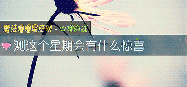 测这个星期会有什么惊喜