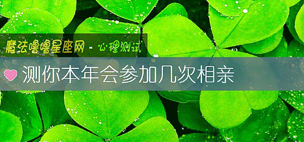 测你本年会参加几次相亲