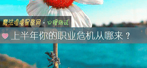 上半年你的职业危机从哪来？