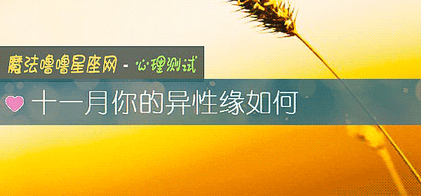 十一月你的异性缘如何
