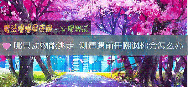 哪只动物能逃走 测遭遇前任嘲讽你会怎么办