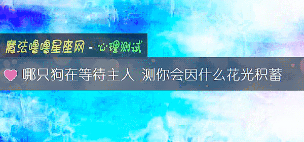 哪只狗在等待主人 测你会因什么花光积蓄