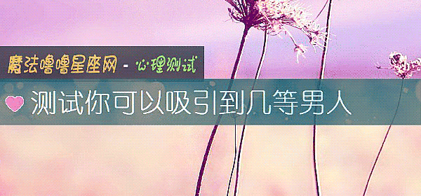 测试你可以吸引到几等男人
